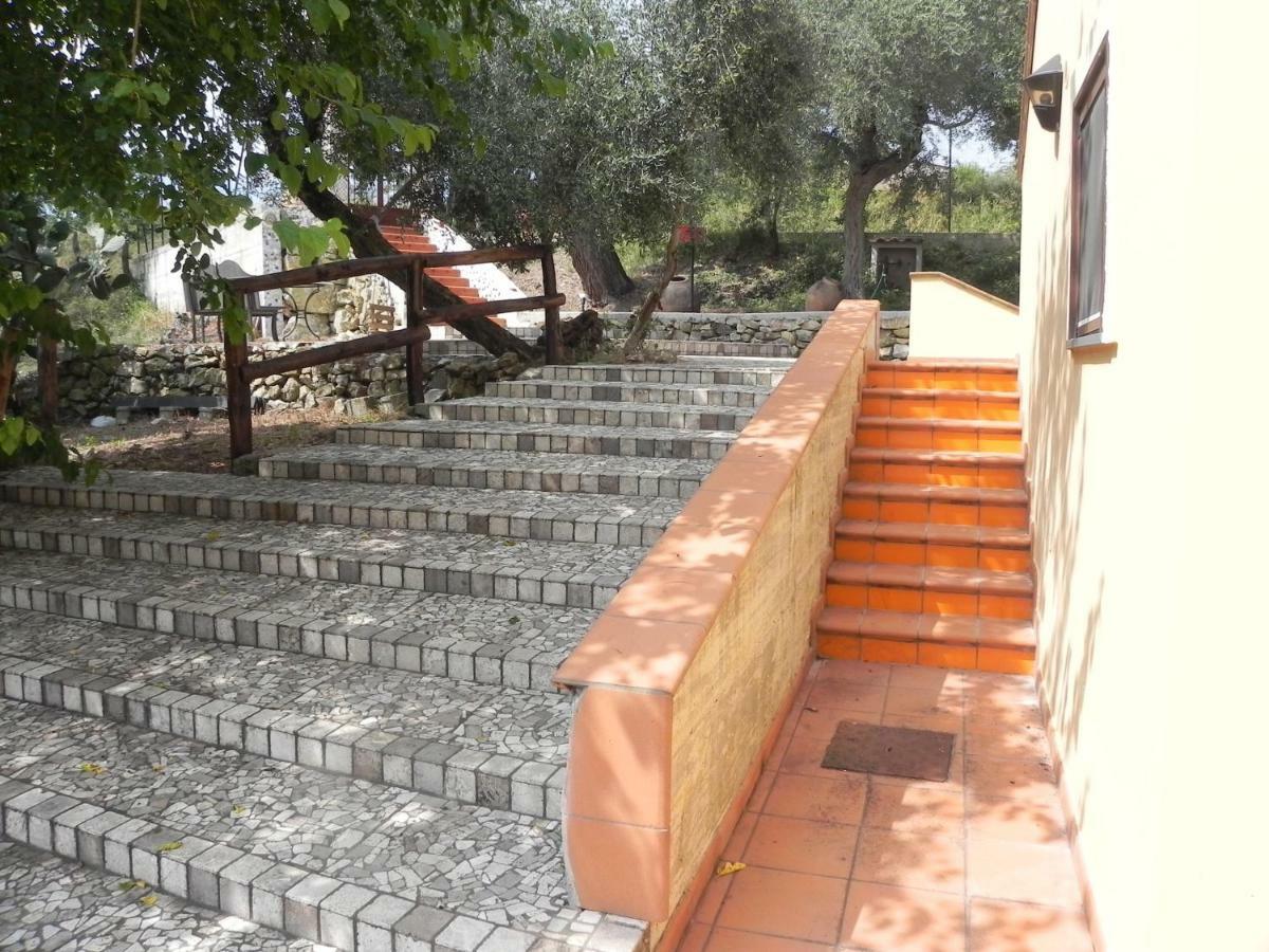Agriturismo B&B Il Rifugio Di Nino Контурси Экстерьер фото